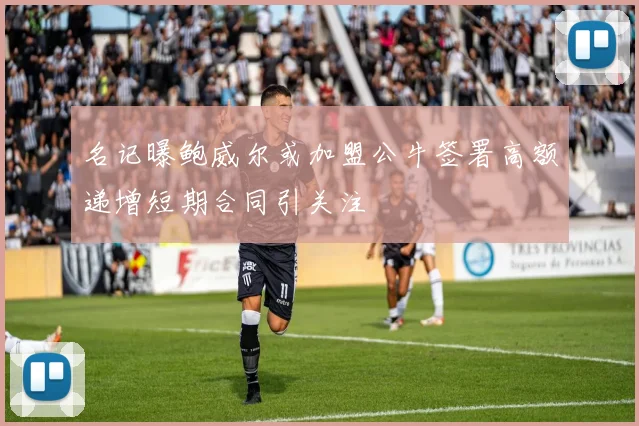 名记曝鲍威尔或加盟公牛签署高额递增短期合同引关注