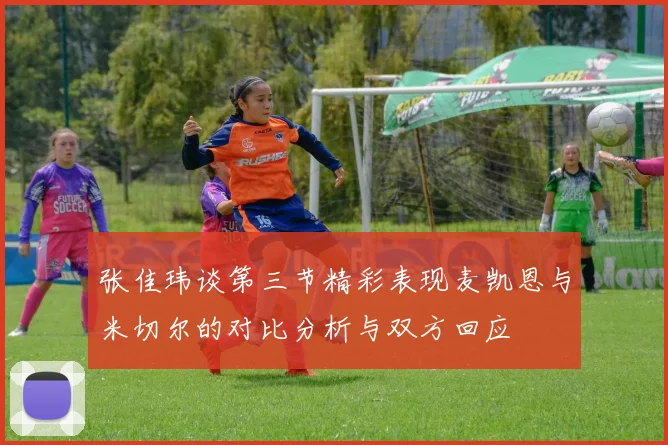 张佳玮谈第三节精彩表现麦凯恩与米切尔的对比分析与双方回应