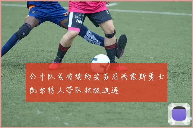公牛队或将续约安芬尼西蒙斯勇士凯尔特人等队积极追逐